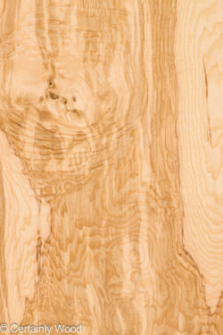 O_ASH_BURL_26117-1_5