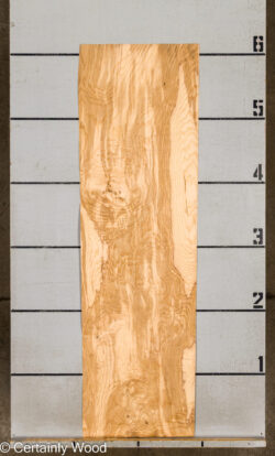 O_ASH_BURL_26117-1_6