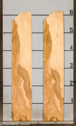 O_ASH_BURL_26117-2A_2