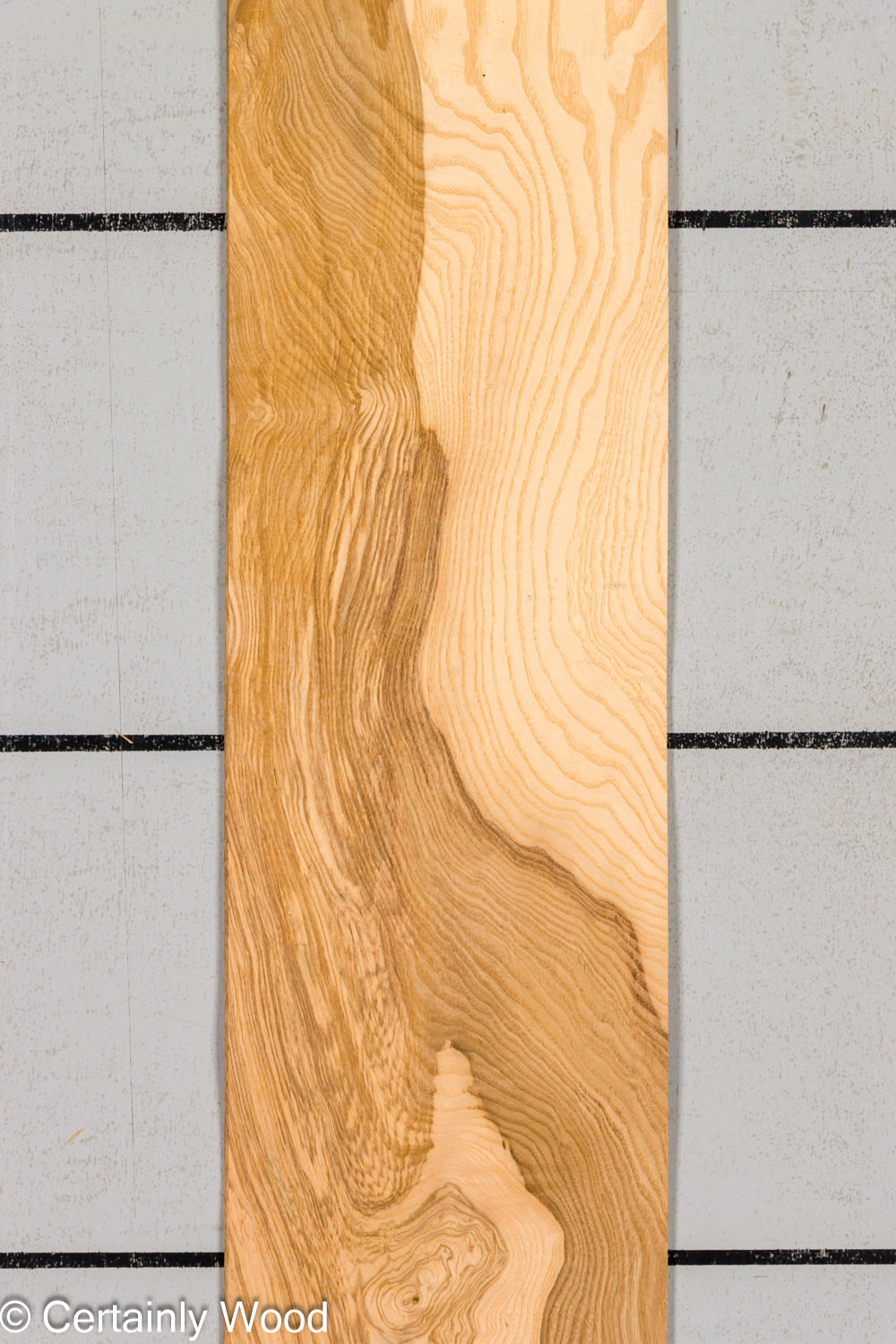 O_ASH_BURL_26117-2B_1