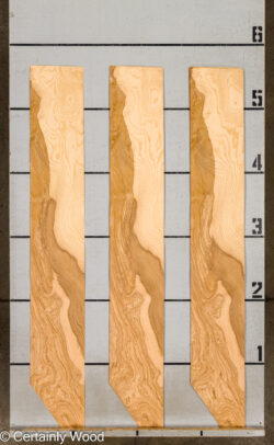 O_ASH_BURL_26117-2B_2