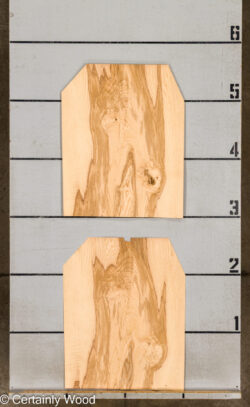 O_ASH_BURL_26117-4A_2