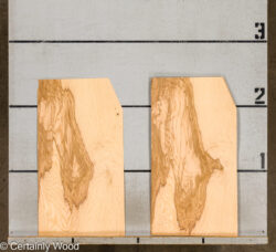 O_ASH_BURL_26117-4D_2