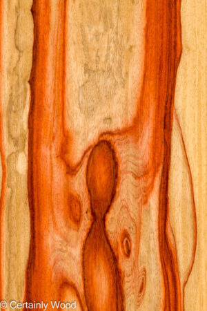 PADAUK 26146-1A