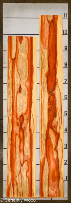 PADAUK_26146-1A_2