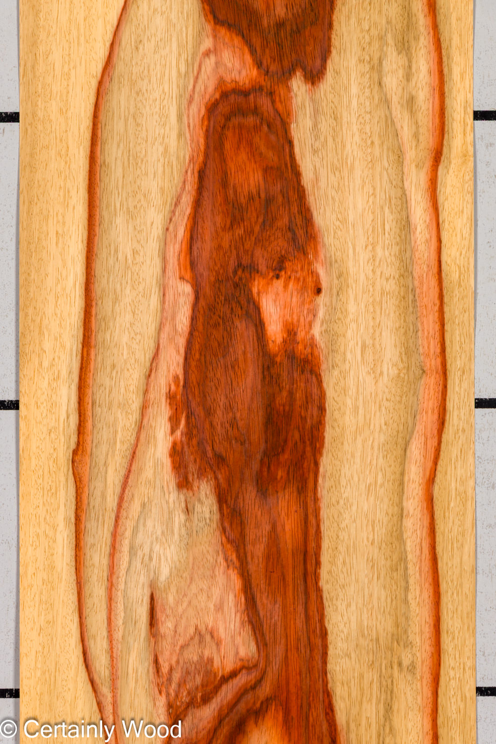 PADAUK_26146-1B_1