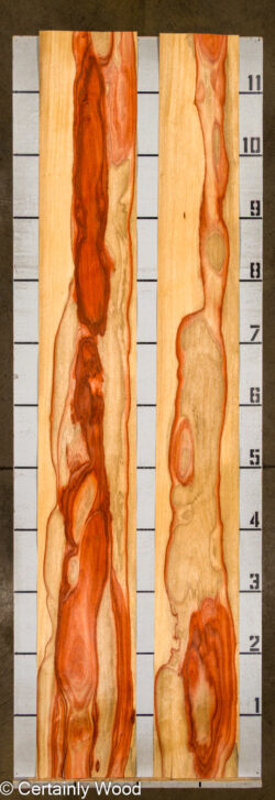 PADAUK_26146-1B_2