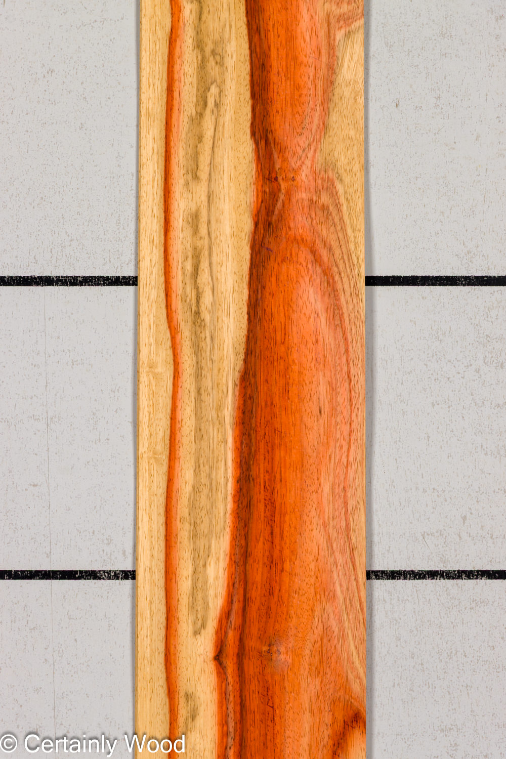 PADAUK_26146-1C_1