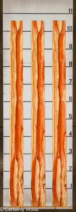 PADAUK_26146-1C_2
