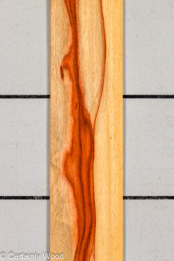 PADAUK_26146-1D_1