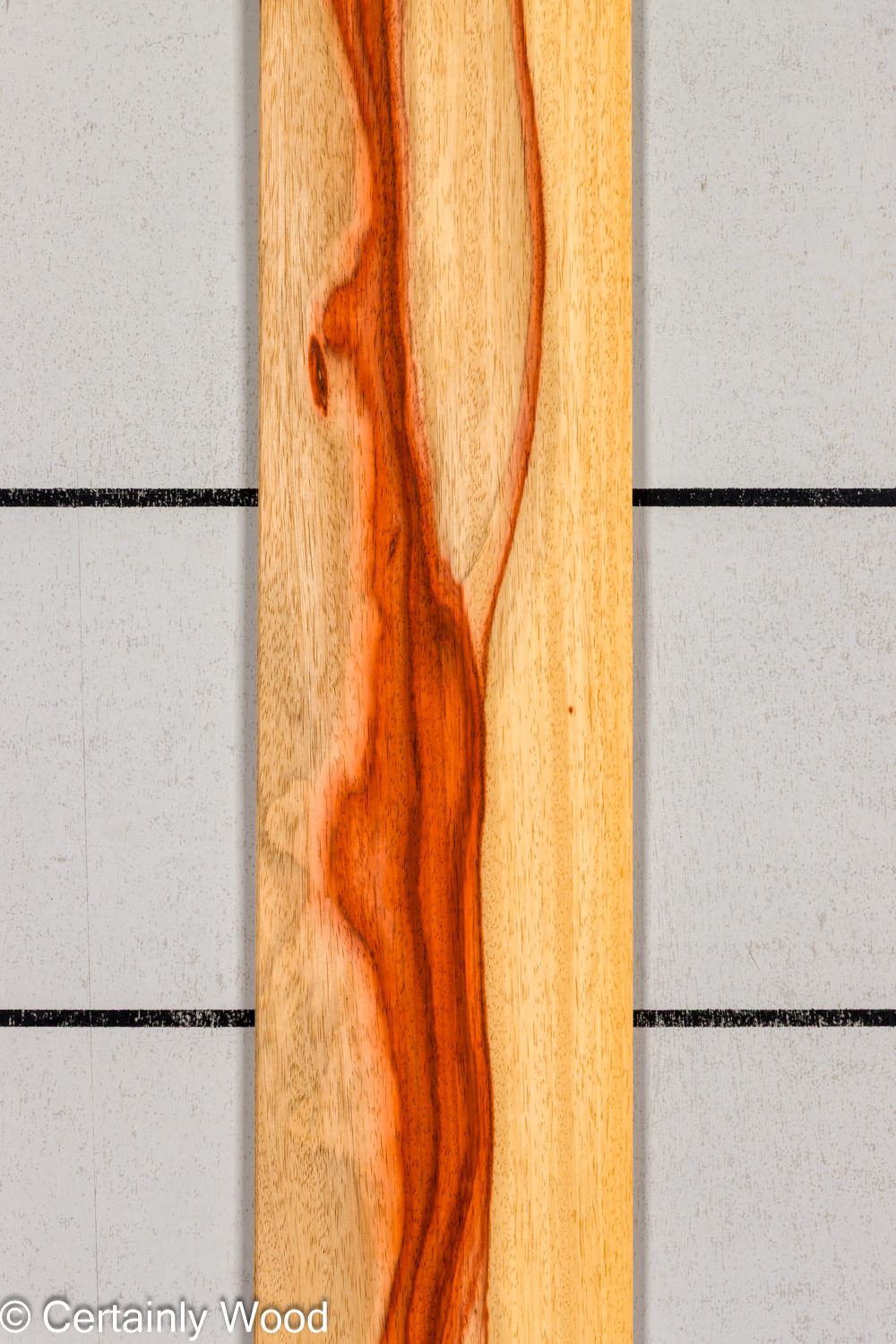 PADAUK_26146-1D_1