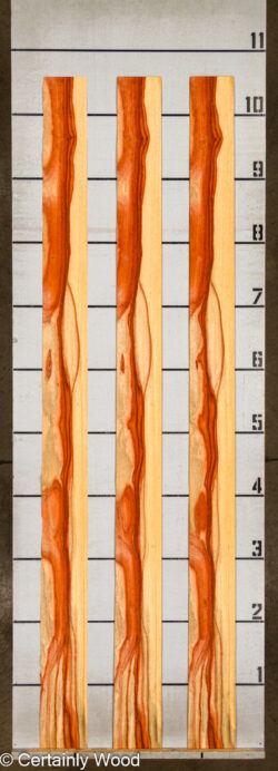 PADAUK_26146-1D_2