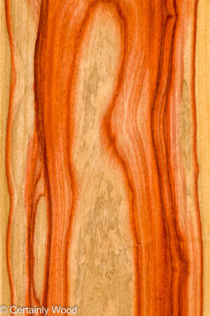 PADAUK 26146-2A