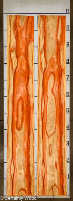 PADAUK_26146-2A_2