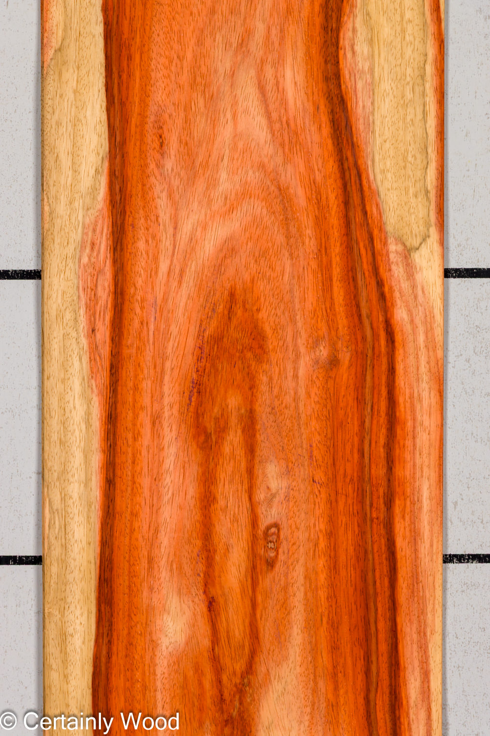 PADAUK_26146-2B_1