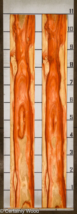 PADAUK_26146-2B_2