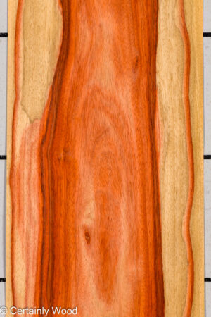 PADAUK 26146-2C