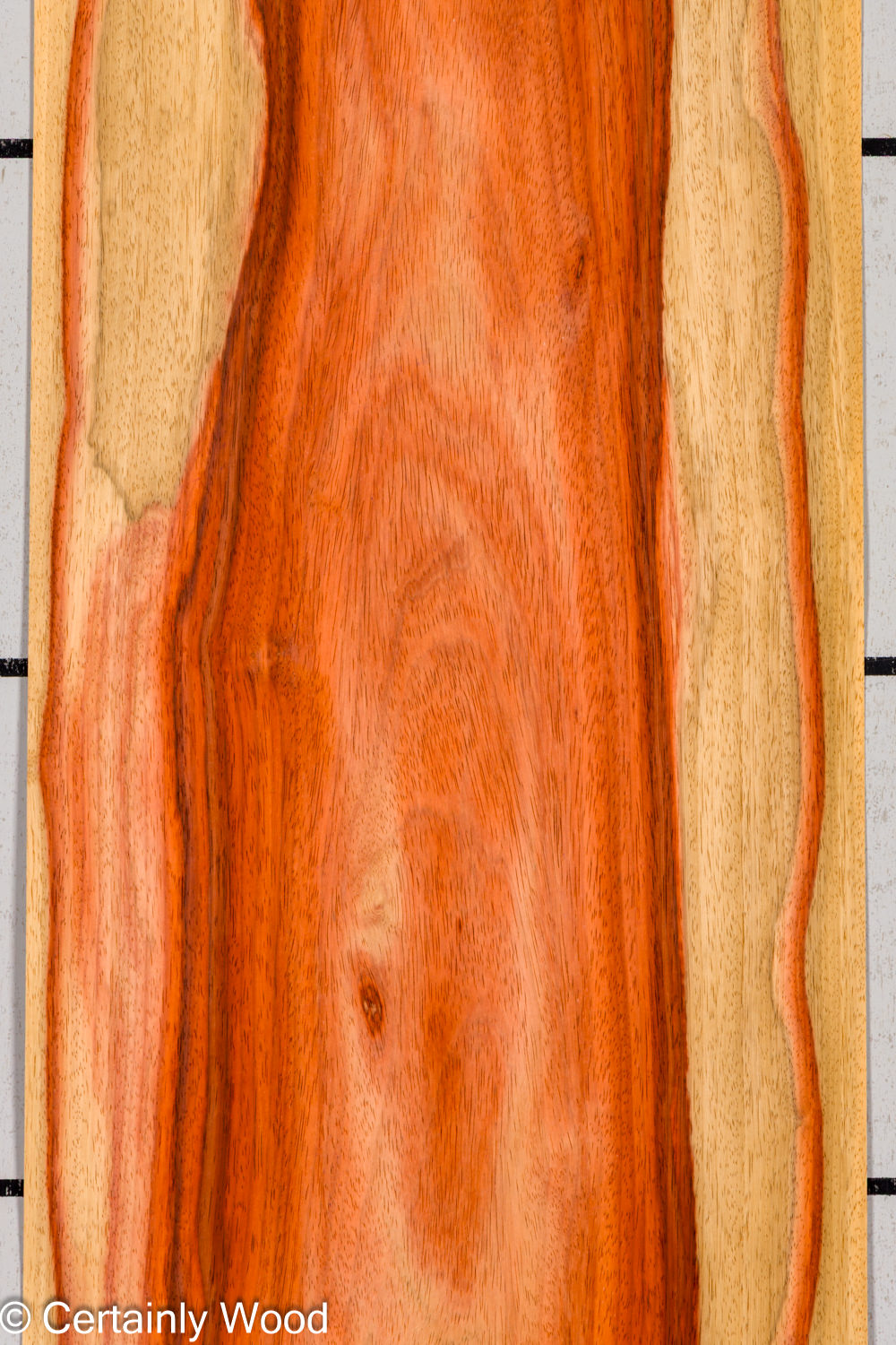 PADAUK_26146-2C_1