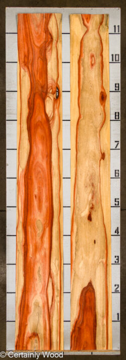 PADAUK_26146-2C_2