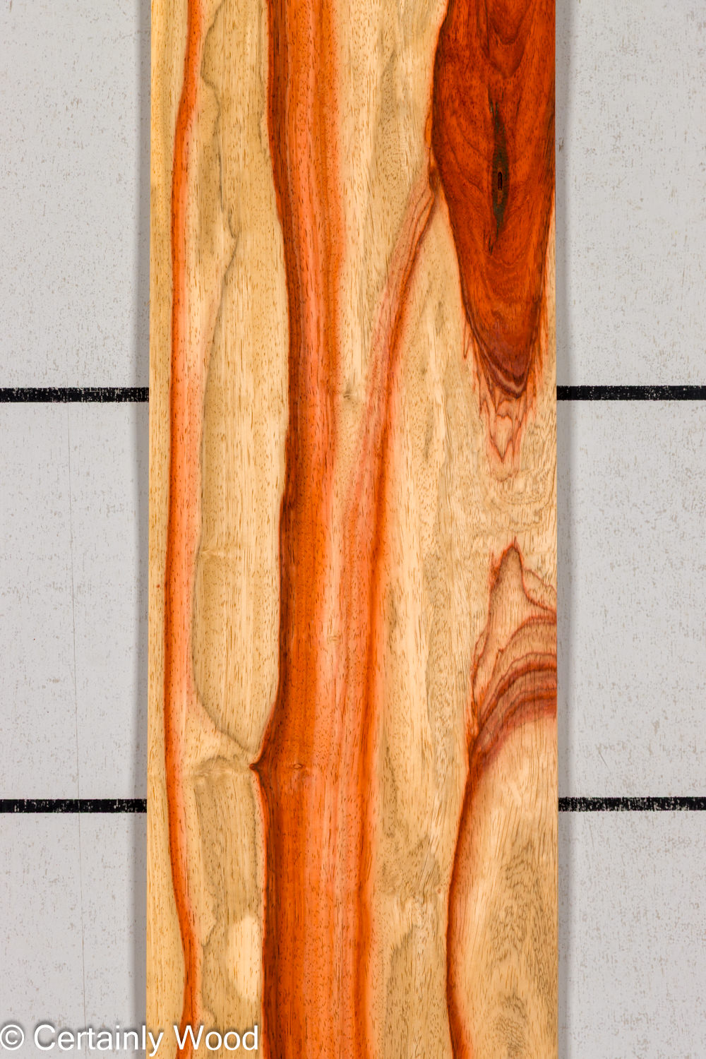 PADAUK_26146-2D_1