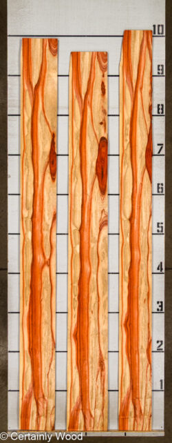 PADAUK_26146-2D_2