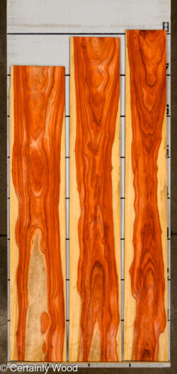 PADAUK_26146-3_2