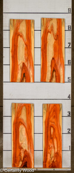 PADAUK_26146-4_2