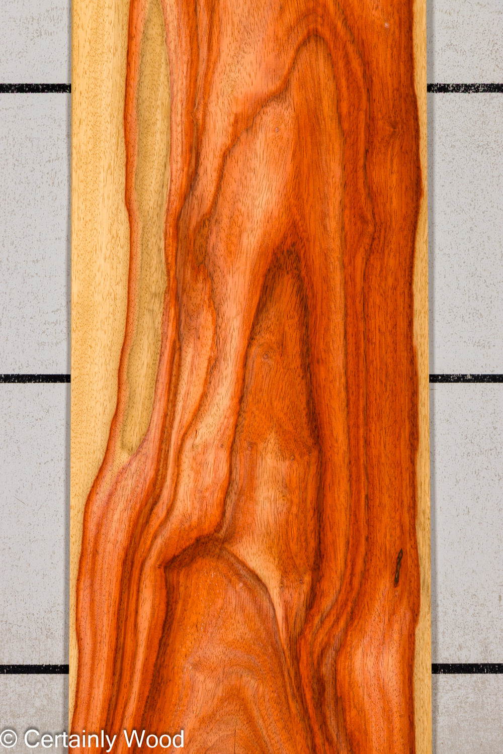 PADAUK_26146-5_1
