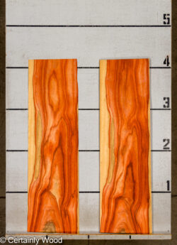 PADAUK_26146-5_2