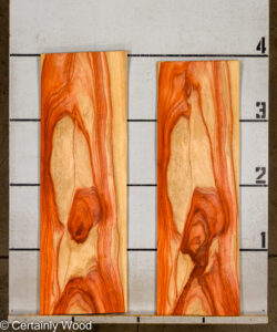 PADAUK_26146-6_2