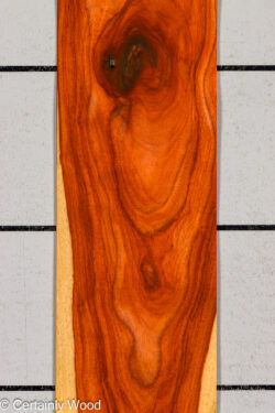 PADAUK_26146-7_1