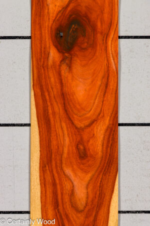 PADAUK 26146-7