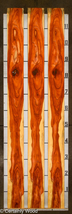 PADAUK_26146-7_2