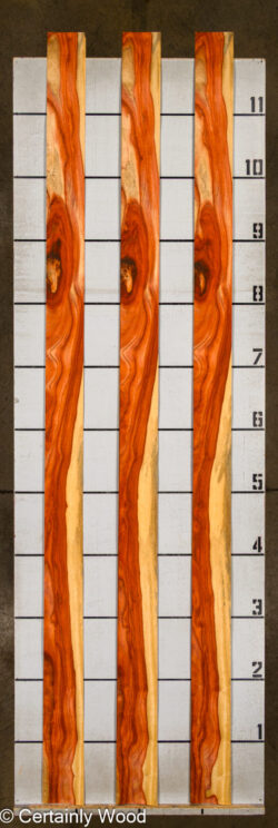 PADAUK_26146-8_2