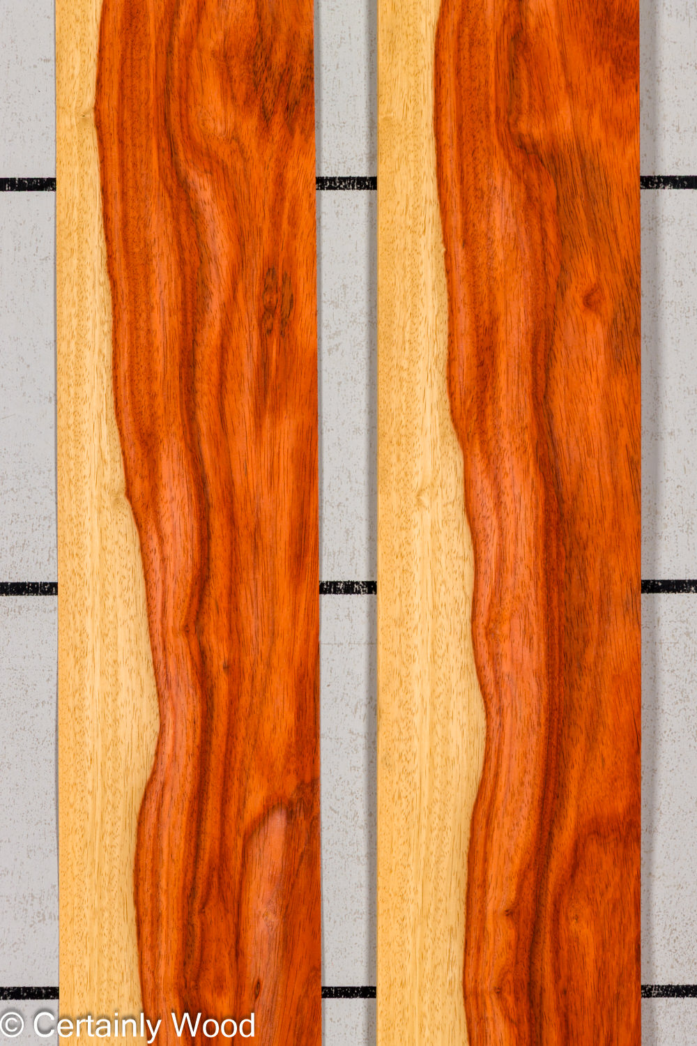 PADAUK_26146-9_1