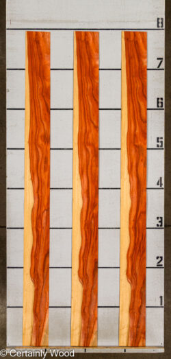 PADAUK_26146-9_2