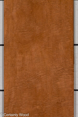 P SAPELE 26125-1A