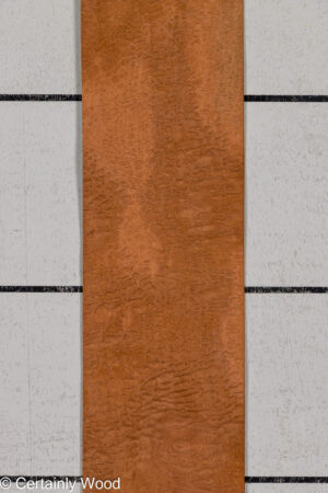 P SAPELE 26125-1C