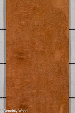 P SAPELE 26125-2A