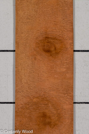 P SAPELE 26125-3B