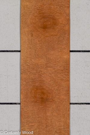 P SAPELE 26125-3C