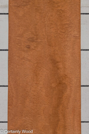 P SAPELE 26155-1