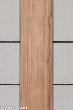 QT_WALNUT_26171-2A_1