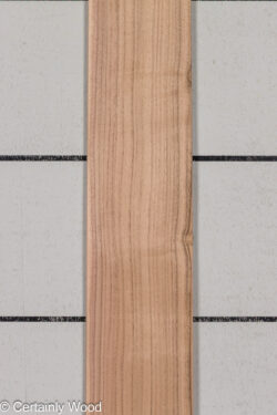 QT_WALNUT_26171-2B_1