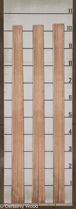 QT_WALNUT_26171-2B_2