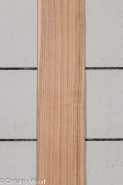 QT_WALNUT_26171-2C_1