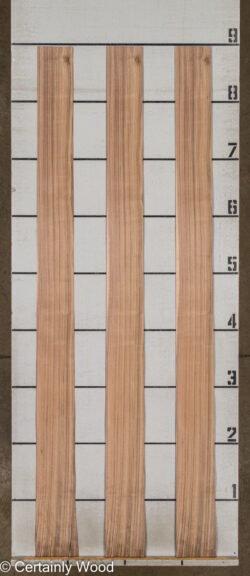 QT_WALNUT_26171-2C_2