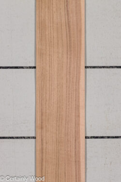 QT_WALNUT_26171-3B_1