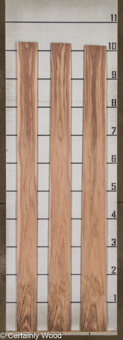 WALNUT_26171-1B_2