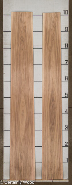 WALNUT_26176-2A_2